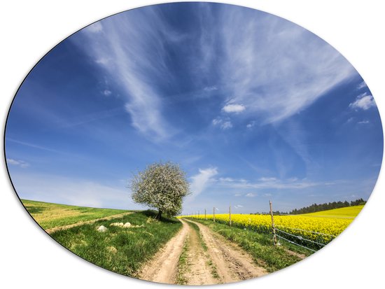 Dibond Ovaal - Landschap - Boom - Natuur - Bloemen - Gras - 80x60 cm Foto op Ovaal (Met Ophangsysteem)