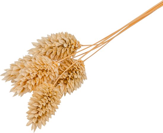 Poupée Barbie Noire 45ème Anniversaire – édition Collector 2024 Neuve Et Signée