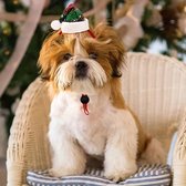 MyDogGifts - Kerstmuts Hond - Groen - Hond Kerst Kleding