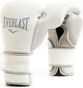 Everlast Powerlock 2 Training Gloves Hook & Loop