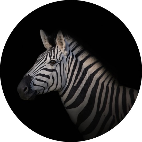 De Muurdecoratie - Schilderij Zebra rond 90x90 cm - Muurcirkels - Zwart wit schilderij - Decoratie woonkamer - Kantoor accessoires - Muurdecoratie kinderkamer - Schilderij dieren - Woondecoratie