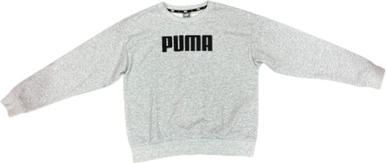 Puma trui Grijs M