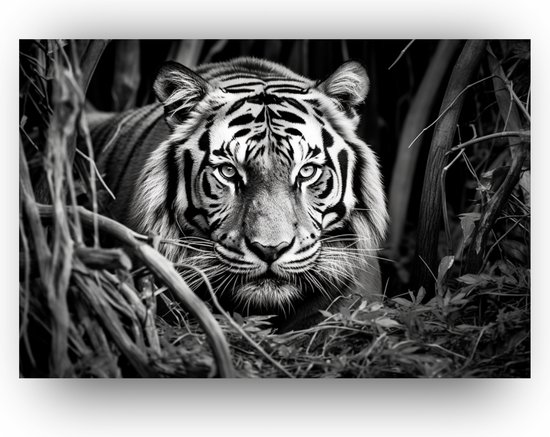 Tijger - Glasschilderij - Glasschilderij Tijger - GlasSchilderij zwart wit - portret dieren - Zwart wit tijger - 150 x 100 cm 5mm