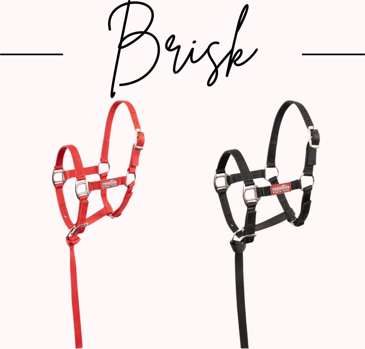 Premiere Veulenhalster Brisk