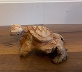 Handgemaakte houten schildpad op parasiet hout - Mini