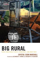 Studies in Urban–Rural Dynamics - Big Rural
