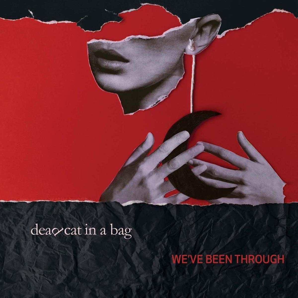 Dead Cat In A Bag - We've Been Through (LP)