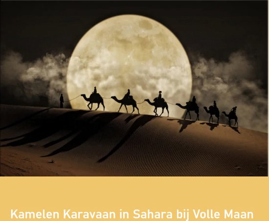 Allernieuwste.nl® Canvas Schilderij * Kamelen Karavaan in Sahara bij Volle Maan * - Modern Romantisch - kleur - 70 x 100 cm