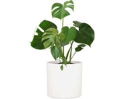 Fox & Fern Bloempot met stop, Bloempot groot voor binnen/buiten, Sierpot UV- & vorstbestendig, Polystone-bloempotten wit, Bloempot 29,5 cm diameter, Grote plantenpot voor kamerplanten