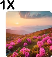 BWK Stevige Placemat - Roze Bloemen op een Berg bij Zonsondergang - Set van 1 Placemats - 50x50 cm - 1 mm dik Polystyreen - Afneembaar