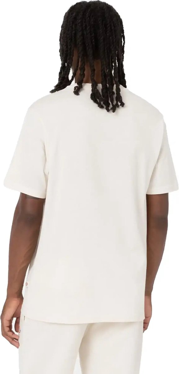 T-Shirt Dickies Ss Mapleton Tee Fashion Wear Volwassen Beige