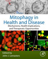 Mitophagy in Health and Disease