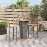 The Living Store Rattan Tuinbarset - Grijs - 60x60x110 cm - Weerbestendig materiaal