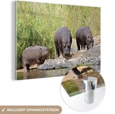MuchoWow® Glasschilderij 30x20 cm - Schilderij acrylglas - Nijlpaarden - Water - Zuid-Afrika - Foto op glas - Schilderijen