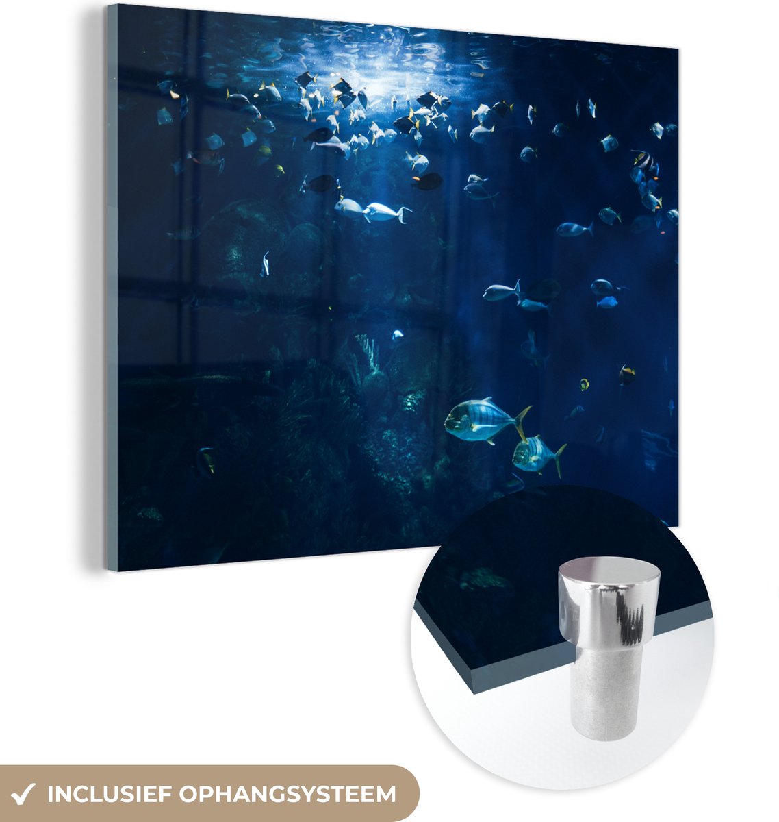 ® Glasschilderij 160x120 cm - Schilderij acrylglas - Vissen in een aquarium in Noorwegen - Foto op glas - Muurdecoratie woonkamer - Wanddecoratie slaapkamer - Schilderijen