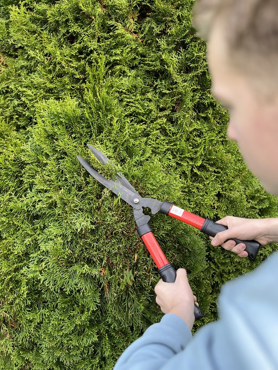 Talen Tools - Takkenschaar - Buxusschaar - Heggenschaar - Rechte snede van Talen Tools — afbeelding 5