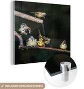 MuchoWow® Glasschilderij 90x90 cm - Schilderij acrylglas - Vogel - Tak - Water - Foto op glas - Schilderijen