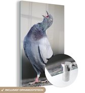 MuchoWow® Glasschilderij 40x60 cm - Schilderij acrylglas - Zingende duif - Foto op glas - Schilderijen