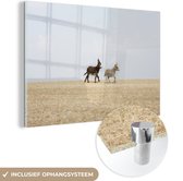 MuchoWow® Glasschilderij 90x60 cm - Schilderij acrylglas - Rennende ezels - Foto op glas - Schilderijen