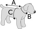 Maattabel met A, B en C markeringen op een hondensilhouet voor het opmeten.