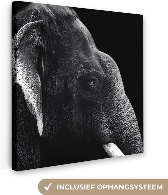 Canvas Schilderij Olifant op zwarte achtergrond in zwart-wit - 20x20 cm - Wanddecoratie