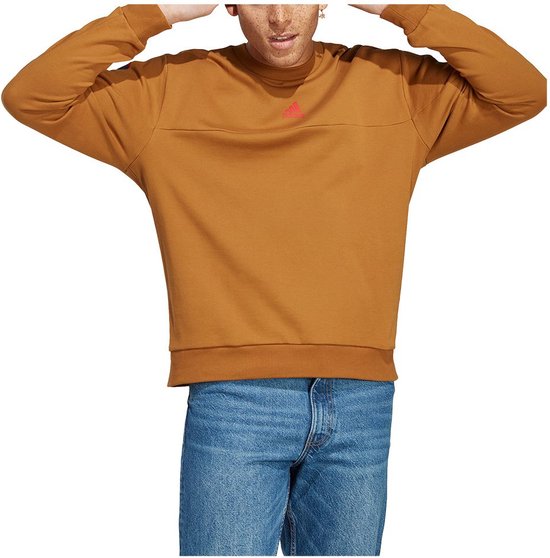 Adidas Bl Sweatshirt Bruin L / Regular Man