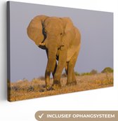 Canvas Schilderij Afrikaanse olifant in het zand - 90x60 cm - Wanddecoratie