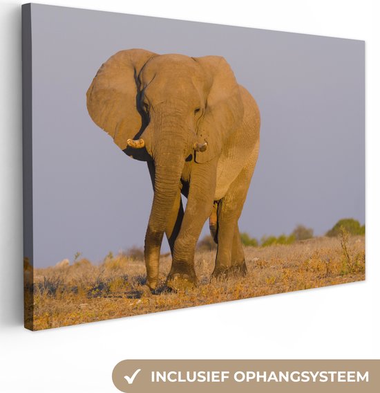 Canvas Schilderij Afrikaanse olifant in het zand - 90x60 cm - Wanddecoratie