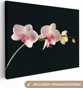 Tableau sur toile Orchidée sur fond noir - 120x90 cm - Décoration murale