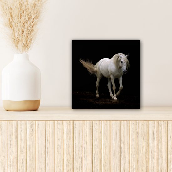 Cheval Wit devant une toile de fond noir 2cm 20x20 cm - petit - Tirage photo sur Toile (Décoration murale salon / chambre) / Animaux sauvages Peintures sur toile