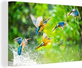 Canvas - ijsvogels - Water - Natuur - Muurdecoratie - 30x20 cm - Canvas schilderij - Schilderijen op canvas