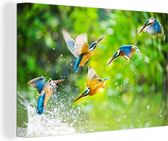 Canvas - ijsvogels - Water - Natuur - Muurdecoratie - 30x20 cm - Canvas schilderij - Schilderijen op canvas