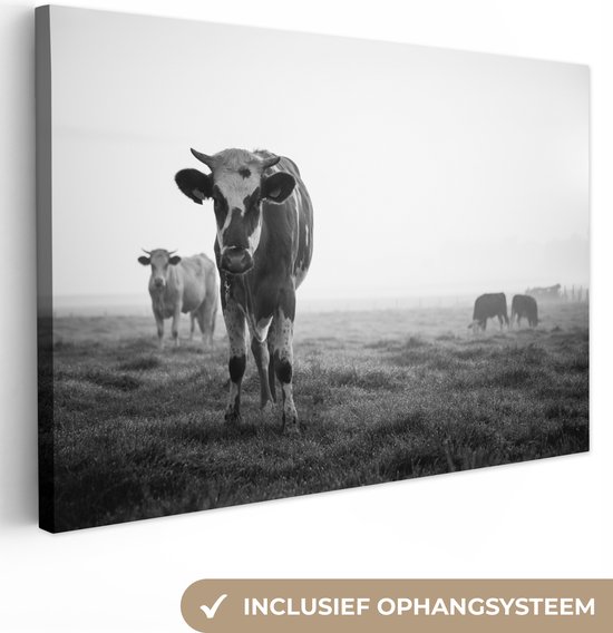 Vaches dans la brume matinale photo noir et blanc sur toile 30x20 cm - petit - Tirage photo sur toile (décoration murale salon / chambre)