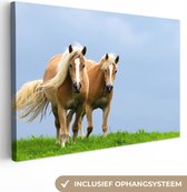 Deux chevaux au galop Toile 80x60 cm - Tirage photo sur toile (Décoration murale salon / chambre) / Peintures sur toile Animaux