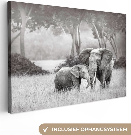 Canvas Schilderij Olifant - Dieren - Natuur - Zwart wit - 60x40 cm - Wanddecoratie