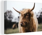 Highlander écossais avec de longues cornes et toile museau noir 2cm 140x90 cm - impression photo sur toile peinture (Décoration murale salon / chambre à coucher) / Animaux sauvages Peintures Toile