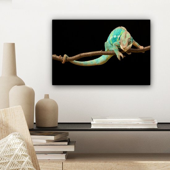 Gros plan sur toile caméléon panthère 2cm 30x20 cm - petit - tirage photo sur toile (Décoration murale salon / chambre)