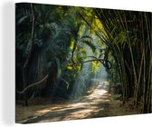 Canvas schilderij 180x120 cm - Wanddecoratie Rijen bamboe in Azie - Muurdecoratie woonkamer - Slaapkamer decoratie - Kamer accessoires - Schilderijen