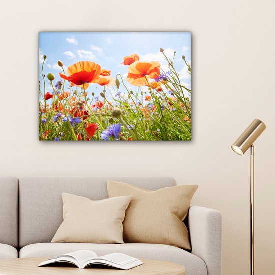 Tableau Fleurs - Coquelicot - Printemps - Nature - Rouge - Blauw - 80x60 cm - Décoration murale