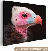 Canvas Schilderij Gier - Vogel - Snavel - 40x30 cm - Wanddecoratie