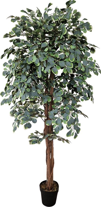 Kamerlinde Kunstplant | 185cm | Kunstboom | Groen wit blad | Namaak Kamerplant