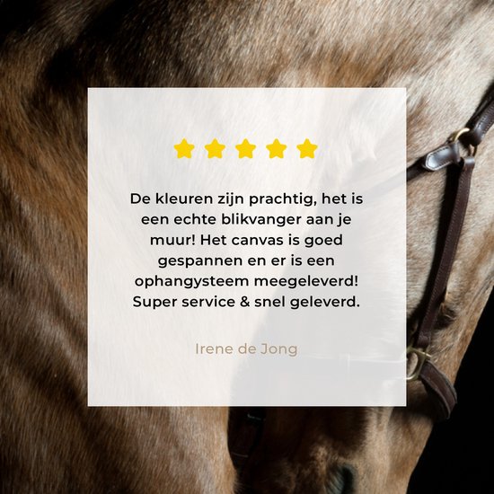 Tableau sur toile Paarden - Halter - Zwart - 90x90 cm - Décoration murale