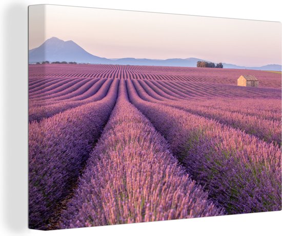 Canvas Schilderij Uitgerekt paars lavendelveld tussen bergen - 140x90 cm - Wanddecoratie