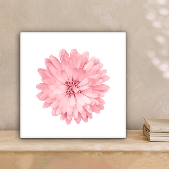 Tableau Fleurs - Rose - Camomille - 20x20 cm - Décoration murale