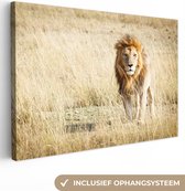 Toile Peinture Lions - Afrique - Herbe - 120x80 cm - Décoration murale
