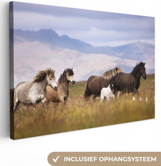 Paarden dans les montagnes Toile 120x80 cm - Tirage photo sur toile (Décoration murale salon / chambre) / Peintures sur toile Animaux