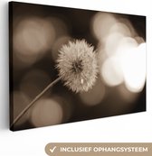 Canvas Schilderij Paardebloem sepia fotoprint - 90x60 cm - Wanddecoratie