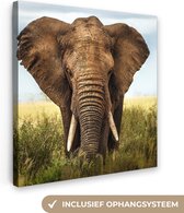 Canvas Schilderij Afrikaanse olifant vooraanzicht - 90x90 cm - Wanddecoratie
