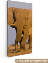 Canvas Schilderij Afrikaanse olifant in het zand - 40x80 cm - Wanddecoratie