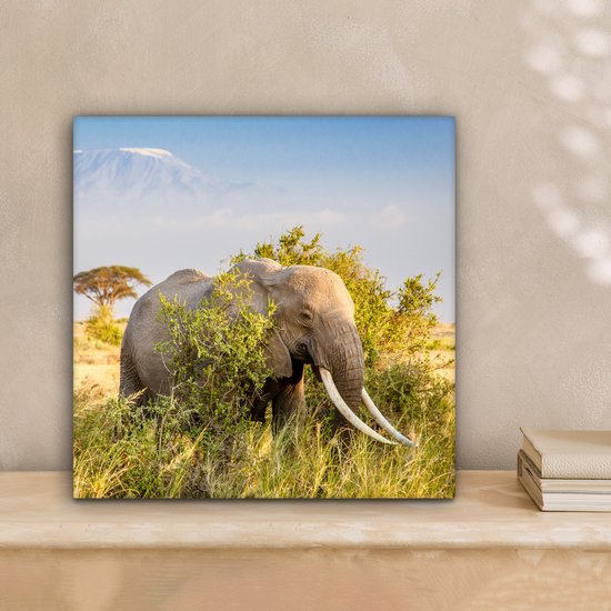 Tableau Toile Éléphant - Animaux - Herbe - Vert - Berg - 20x20 cm - Décoration Murale